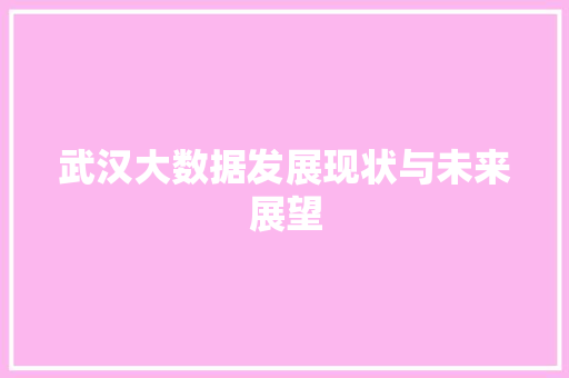 武汉大数据发展现状与未来展望