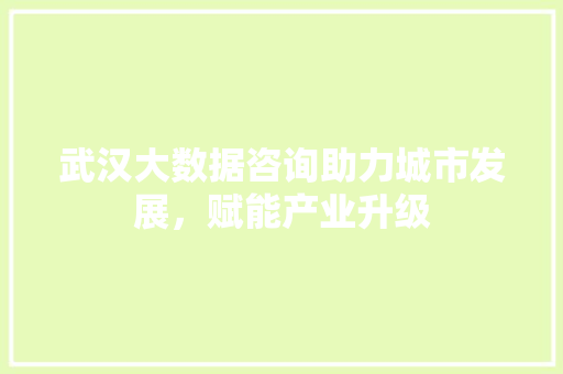 武汉大数据咨询助力城市发展，赋能产业升级 服务器/数据库