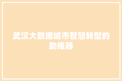 武汉大数据城市智慧转型的助推器