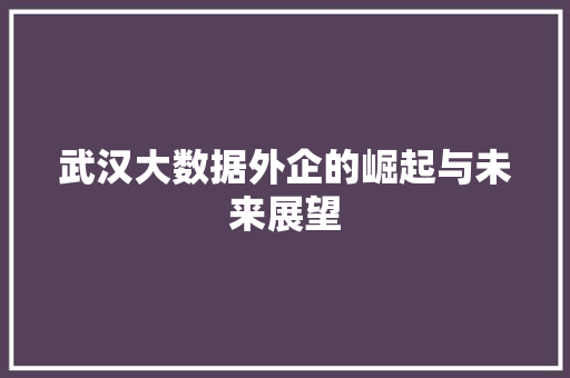 武汉大数据外企的崛起与未来展望 SEO教程