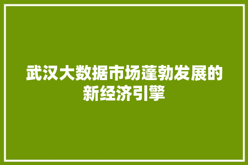 武汉大数据市场蓬勃发展的新经济引擎 建站教程