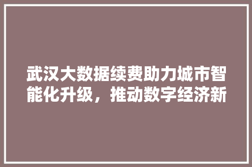 武汉大数据续费助力城市智能化升级，推动数字经济新篇章