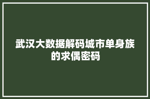 武汉大数据解码城市单身族的求偶密码 SEO教程