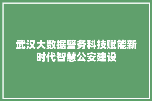武汉大数据警务科技赋能新时代智慧公安建设 建站教程
