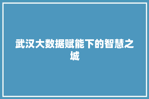 武汉大数据赋能下的智慧之城