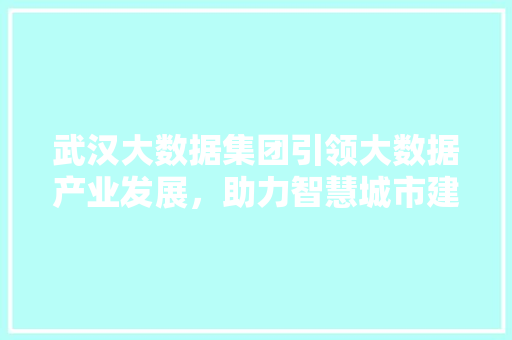 武汉大数据集团引领大数据产业发展，助力智慧城市建设 SEO教程