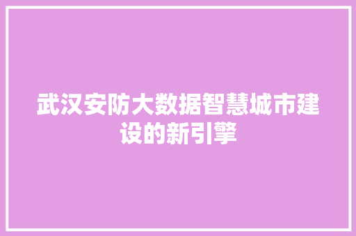 武汉安防大数据智慧城市建设的新引擎