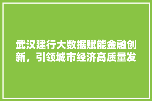 武汉建行大数据赋能金融创新，引领城市经济高质量发展 SEO教程