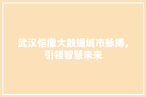 武汉恺撒大数据城市脉搏，引领智慧未来 建站教程