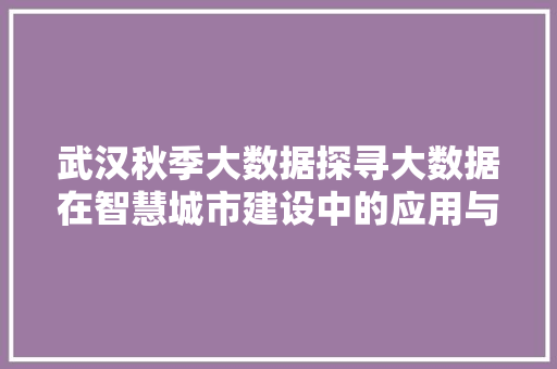武汉秋季大数据探寻大数据在智慧城市建设中的应用与挑战 友链在线