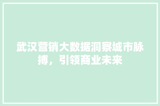 武汉营销大数据洞察城市脉搏，引领商业未来