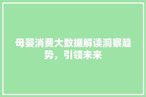 母婴消费大数据解读洞察趋势，引领未来