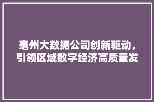 毫州大数据公司创新驱动，引领区域数字经济高质量发展 服务器/数据库