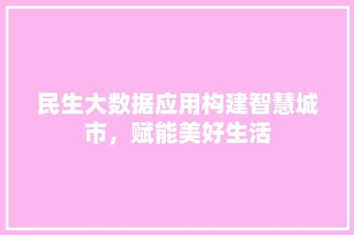 民生大数据应用构建智慧城市，赋能美好生活 SEO教程