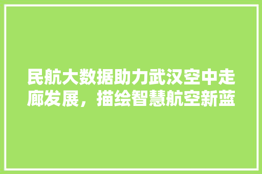民航大数据助力武汉空中走廊发展，描绘智慧航空新蓝图 SEO教程