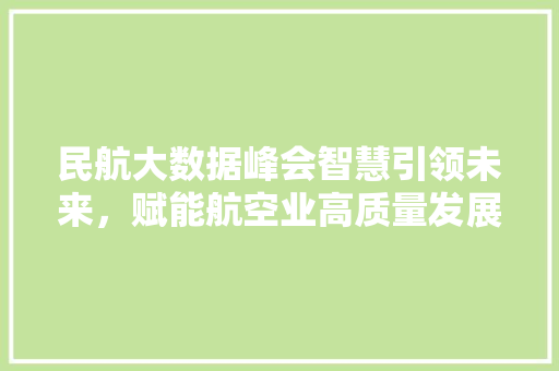 民航大数据峰会智慧引领未来，赋能航空业高质量发展 友链在线