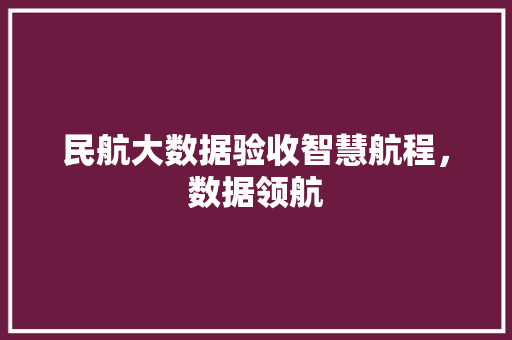 民航大数据验收智慧航程，数据领航 服务器/数据库