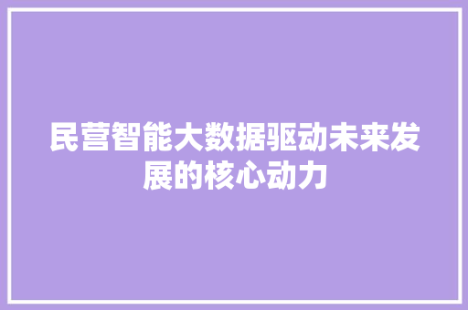 民营智能大数据驱动未来发展的核心动力 WordPress教程