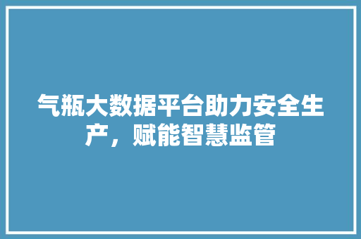 气瓶大数据平台助力安全生产，赋能智慧监管 Web前端