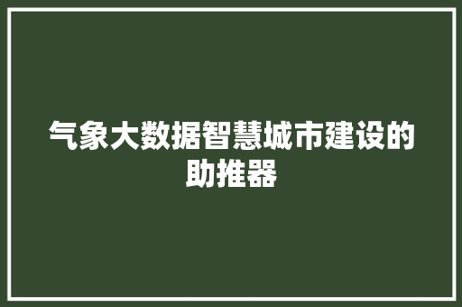 气象大数据智慧城市建设的助推器