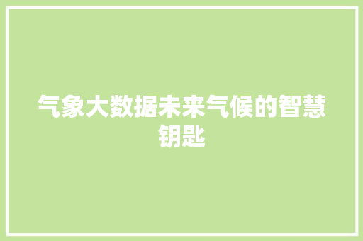 气象大数据未来气候的智慧钥匙 Web前端