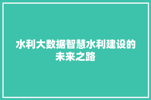 水利大数据智慧水利建设的未来之路