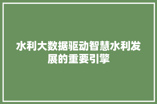 水利大数据驱动智慧水利发展的重要引擎