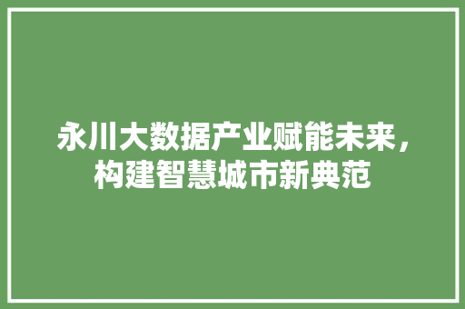 永川大数据产业赋能未来，构建智慧城市新典范
