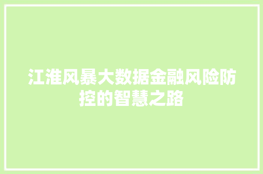 江淮风暴大数据金融风险防控的智慧之路