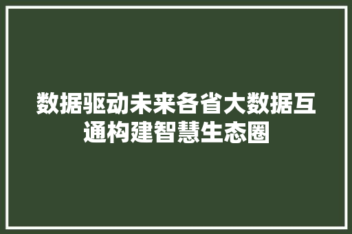 数据驱动未来各省大数据互通构建智慧生态圈