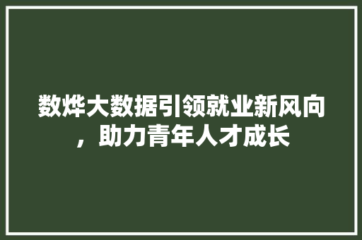 数烨大数据引领就业新风向，助力青年人才成长 WordPress教程
