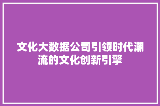 文化大数据公司引领时代潮流的文化创新引擎