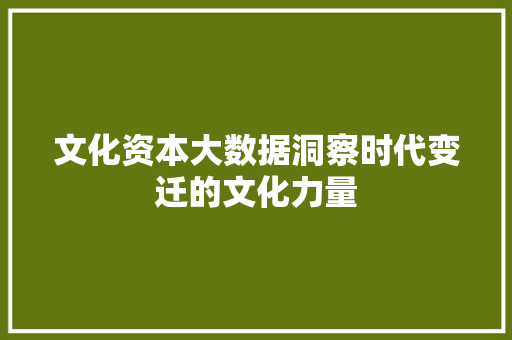 文化资本大数据洞察时代变迁的文化力量