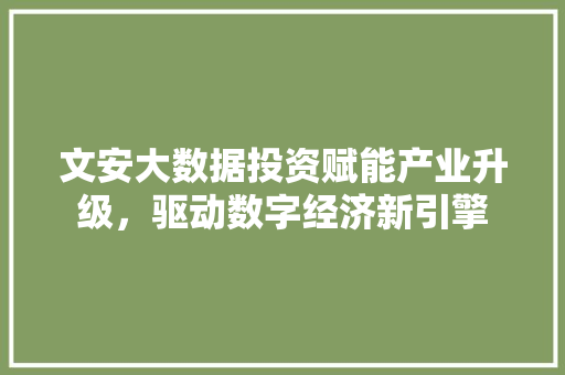文安大数据投资赋能产业升级，驱动数字经济新引擎