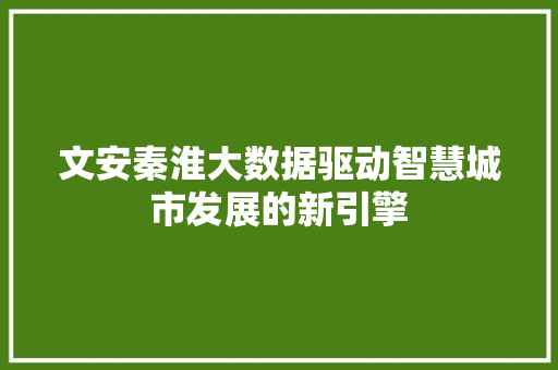 文安秦淮大数据驱动智慧城市发展的新引擎