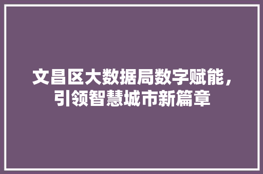 文昌区大数据局数字赋能，引领智慧城市新篇章