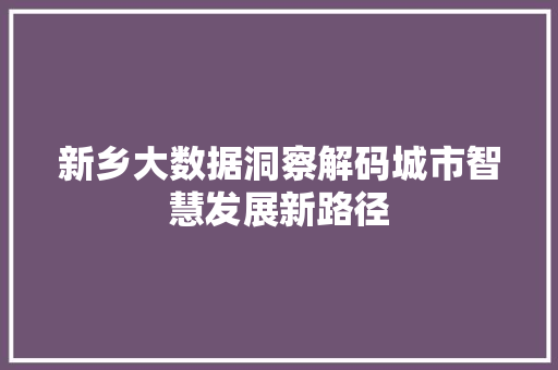 新乡大数据洞察解码城市智慧发展新路径
