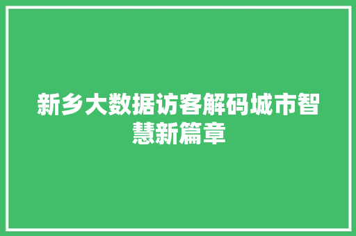 新乡大数据访客解码城市智慧新篇章