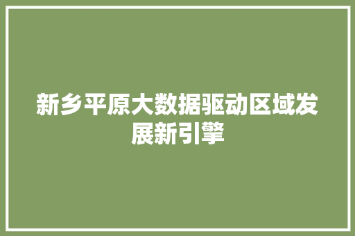新乡平原大数据驱动区域发展新引擎