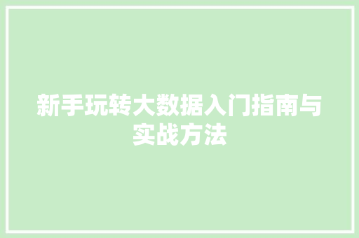 新手玩转大数据入门指南与实战方法