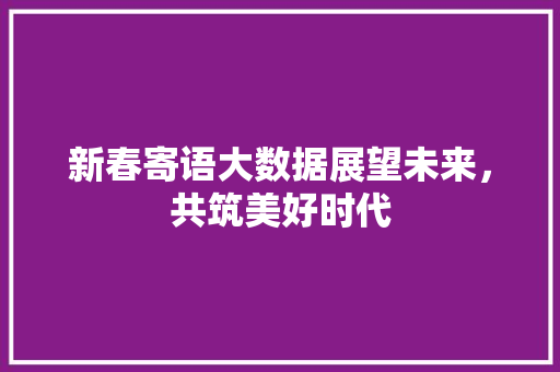 新春寄语大数据展望未来，共筑美好时代