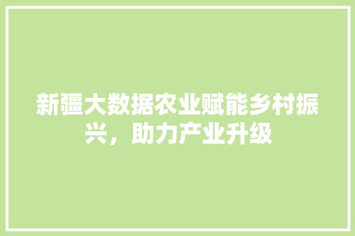 新疆大数据农业赋能乡村振兴，助力产业升级 WordPress教程