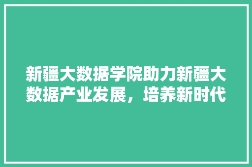 新疆大数据学院助力新疆大数据产业发展，培养新时代人才