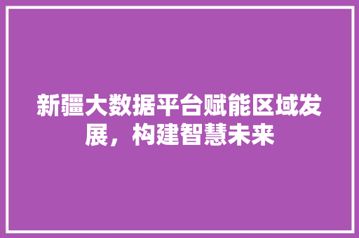 新疆大数据平台赋能区域发展，构建智慧未来