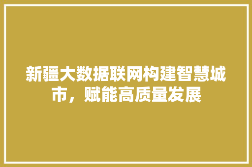 新疆大数据联网构建智慧城市，赋能高质量发展 SEO教程
