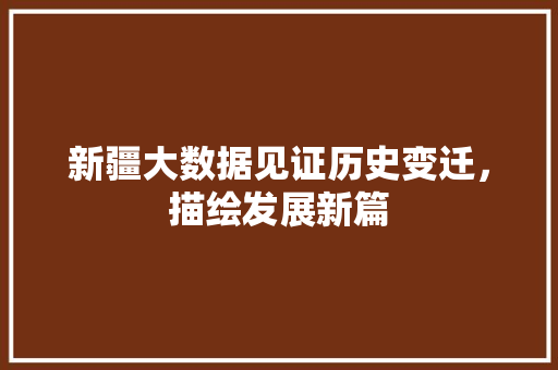新疆大数据见证历史变迁，描绘发展新篇 Web前端