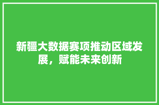 新疆大数据赛项推动区域发展，赋能未来创新 SEO教程