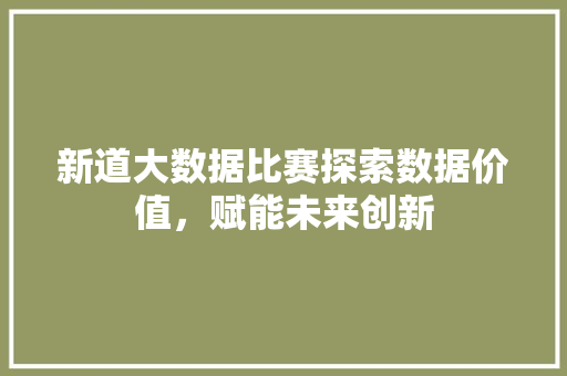 新道大数据比赛探索数据价值，赋能未来创新 WordPress教程