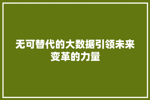 无可替代的大数据引领未来变革的力量