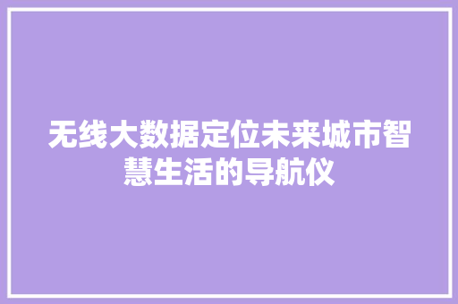 无线大数据定位未来城市智慧生活的导航仪